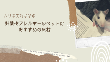 針葉樹アレルギー対策！ハリネズミ飼育におすすめの床材