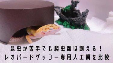 【朗報】昆虫が苦手でも爬虫類は飼える！レオパードゲッコー専用人工餌を比較