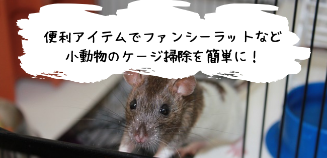 ファンシーラットのケージ掃除の方法とおすすめの便利アイテム