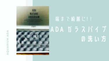 【ADA】リリィパイプを端まで綺麗にする洗い方【ガラスパイプ】