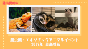 【最新】2019年爬虫類・エキゾチックアニマルイベント情報【随時更新】