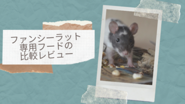 ファンシーラット専用フードを比較レビュー