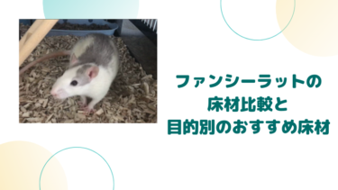 ファンシーラットの床材比較と選び方を解説！目的別おすすめ床材も