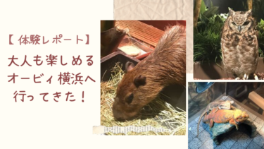 【体験レポート】たくさんの動物と触れ合える「オービィ横浜」へ行ってきた！