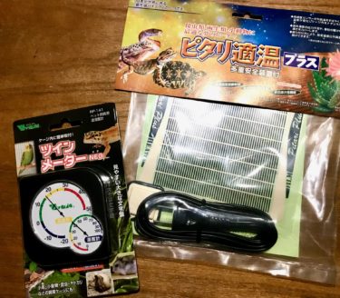 フライシュマンアマガエルモドキ用にパネルヒーターと温湿度計を購入！