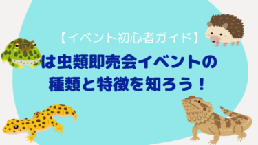 【イベント初心者ガイド】爬虫類即売会の種類と特徴を知ろう