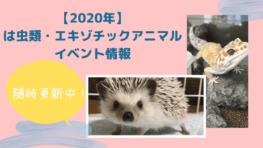 【最新】2020年爬虫類・エキゾチックアニマルイベント情報【随時更新】