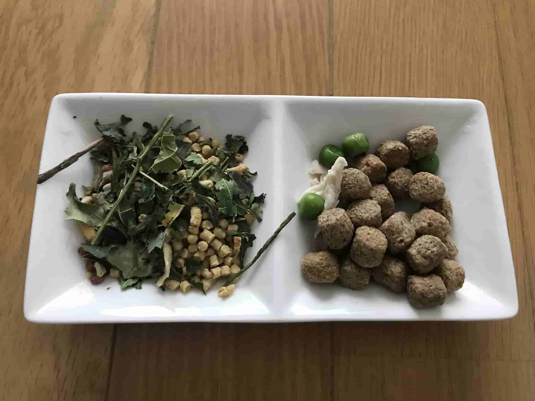 ファンシーラットのごはん
