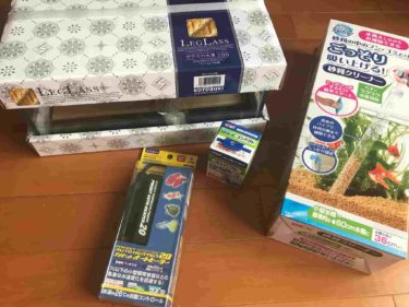 引っ越したので新水槽を立ち上げました！