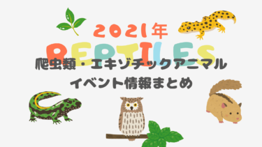 【2021年最速情報】爬虫類・エキゾチックアニマルイベント情報まとめ【ぞくぞく決定】