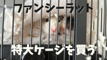 【大型ファンシーラットケージ】プレビューペットデラックスフェレットケージ484