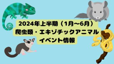 【2024年上半期最新】爬虫類・エキゾチックアニマルイベント【即売会】