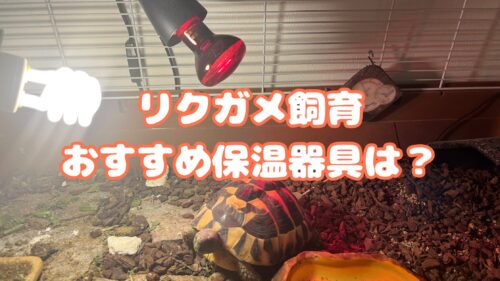 リクガメ飼育におすすめの保温器具