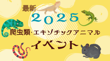 【2025年最新】爬虫類・エキゾチックアニマルイベント【即売会】