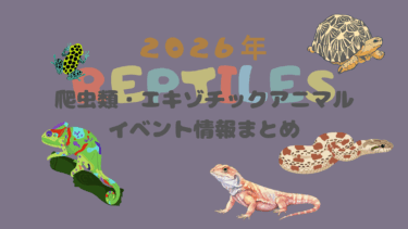 【2026年】爬虫類・エキゾチックアニマルイベント一覧【即売会】